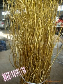 秋季干花选材指南 曲柳与龙柳的供应与工艺之美